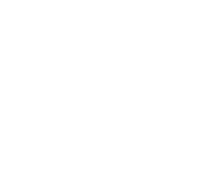Ecurie de Villeconin